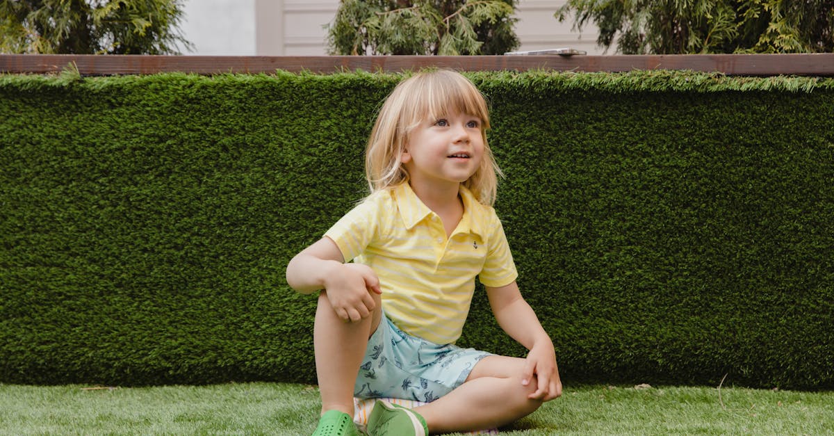 Lawn care services in Queen Creek